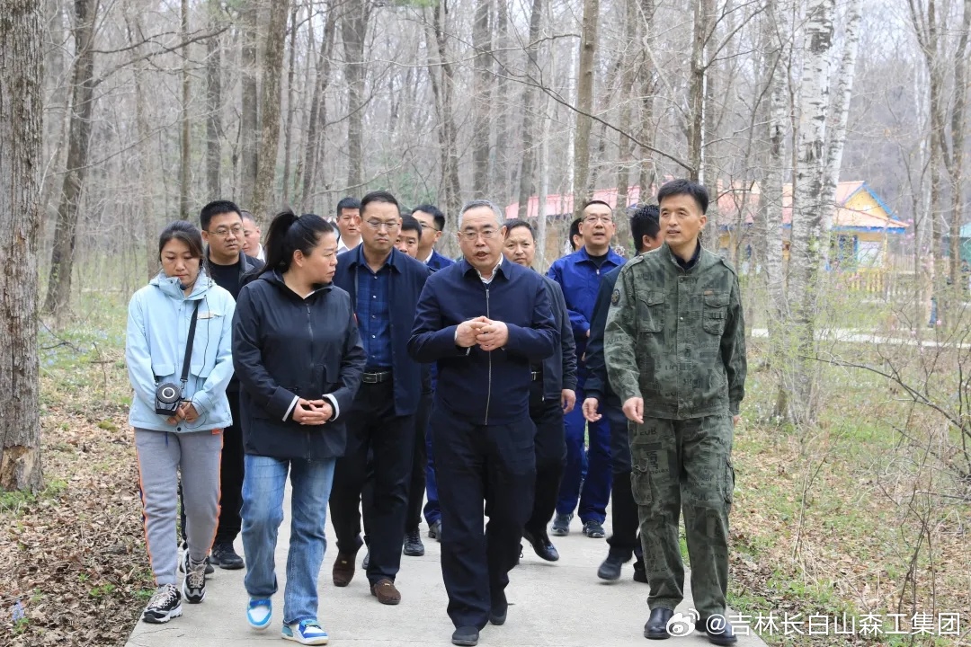 汤南林场新领导团队引领绿色变革之路