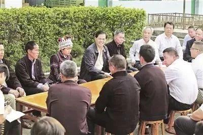 金河村委会最新动态报道