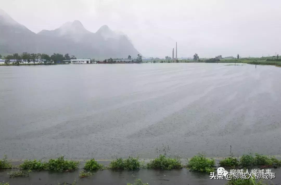 柳城县水利局发展规划，构建可持续水利未来之路