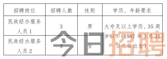 龙泉市统计局最新招聘信息详解